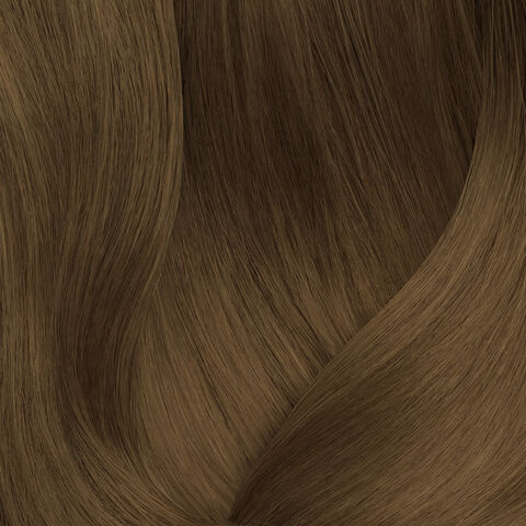 SoColor 12.5 - Festive Scheme | L'Oréal Partner Shop