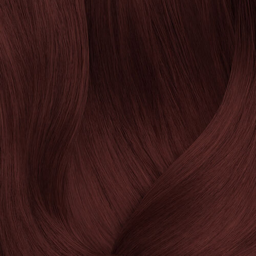 SoColor 5.6 - Festive Scheme | L'Or&eacute;al Partner Shop