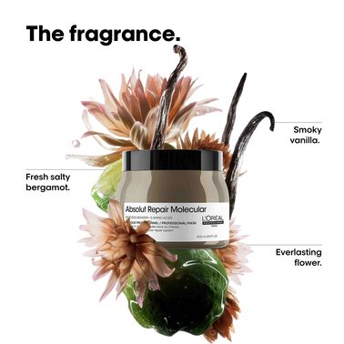 L'Oréal Professionnel Absolut Repair Molecular Deep Repairing  Cream Mask 500ml - L'Oréal Professionnel | L'Oréal Partner Shop