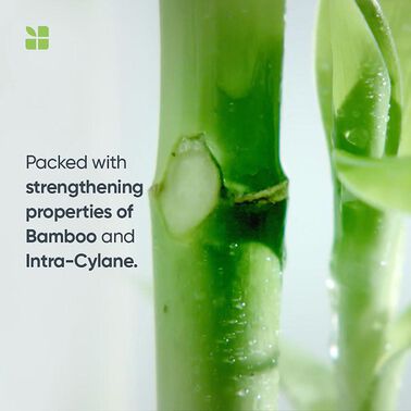 Biolage Fiberstrong Shampoo - Biolage Shampoo | L'Oréal Partner Shop