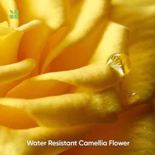 Biolage Smoothproof Shampoo - Biolage | L'Or&eacute;al Partner Shop