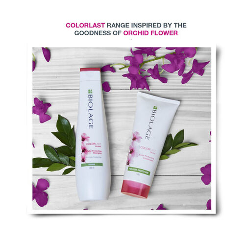 Biolage Colorlast Conditioner - Biolage Conditioners | L'Or&eacute;al Partner Shop