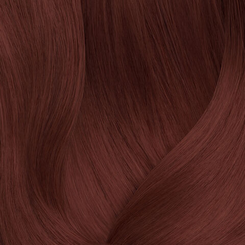 SoColor 7.45 - Festive Scheme | L'Oréal Partner Shop