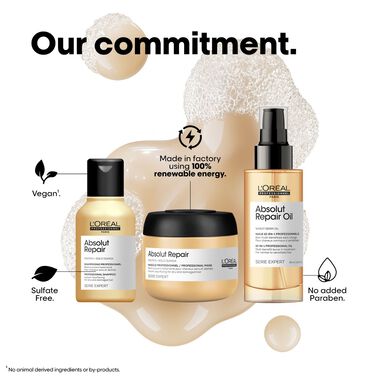 L'Oréal Professionnel Damage Repair Hair Kit with Absolut Repair 3-Step Regime - Festive Scheme | L'Oréal Partner Shop