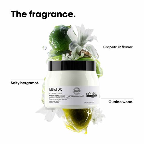 L'Oreal Professionnel Metal DX Mask 500ml - Festive Scheme | L'Or&eacute;al Partner Shop