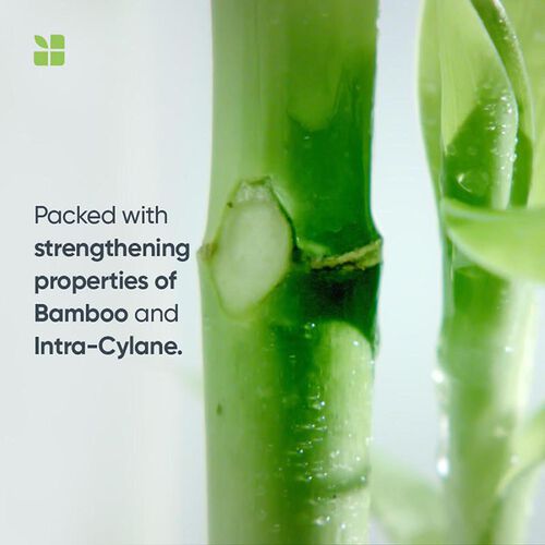 Biolage Fiberstrong Conditioner - Festive Scheme | L'Or&eacute;al Partner Shop