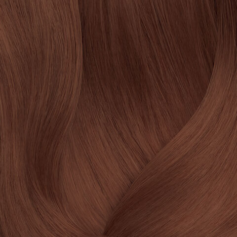 SoColor 12.4 - Festive Scheme | L'Oréal Partner Shop