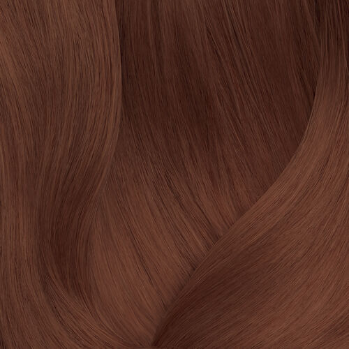 SoColor 12.4 - Festive Scheme | L'Or&eacute;al Partner Shop