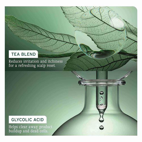 Biolage Scalp Sync Purifying Concentrate - Biolage Concentrate | L'Or&eacute;al Partner Shop