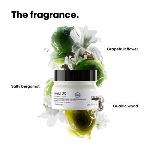 L'Oreal Professionnel Metal DX Mask 250ml - L'Or&eacute;al Professionnel Haircare | L'Or&eacute;al Partner Shop