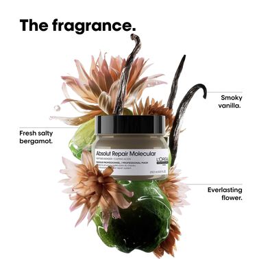 L'Oréal Professionnel Absolut Repair Molecular Deep Repairing  Cream Mask 250ml - L'Oréal Professionnel | L'Oréal Partner Shop