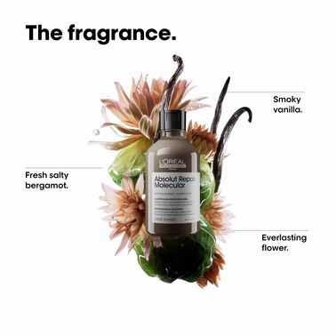 L'Oréal Professionnel Absolut Repair Molecular Sulfate-Free Shampoo 300ml - Absolut Repair Molecular | L'Oréal Partner Shop